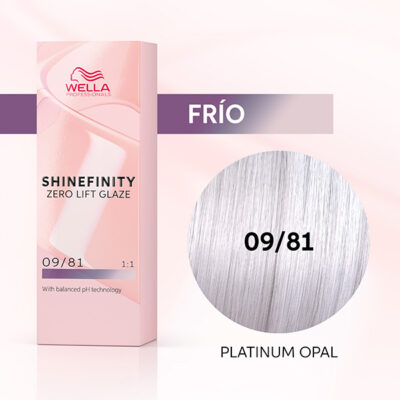 Shinefinity 09/81
