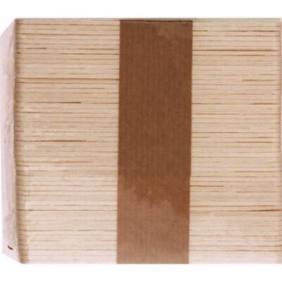 Espatula Bigotera 100uni.