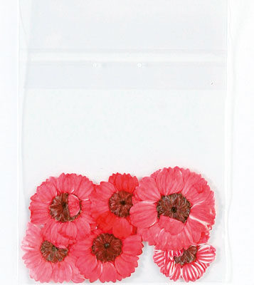 Flores Secas Decoracion Uñas Asuer