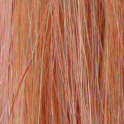 Coquette Extension Cosida Lisa nº22/15