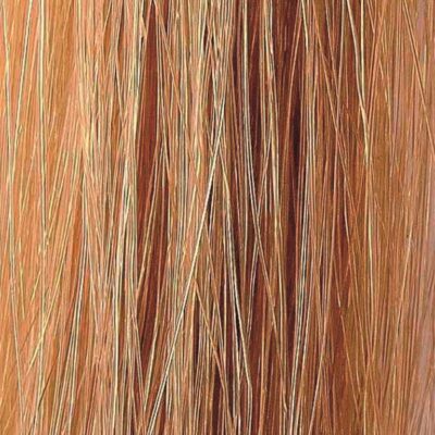 Coquette Extension Cosida Lisa nº8/22